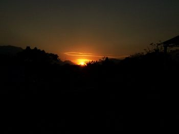 Silhouette of trees at sunset