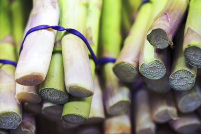 Close-up of vegetables