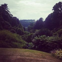 Scenic view of landscape against cloudy sky