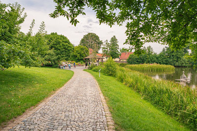 Footpath amidst trees against sky