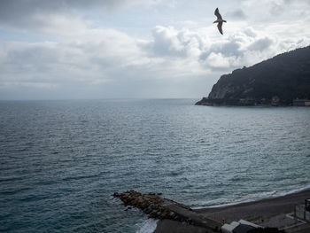 Bird flying over sea against sky