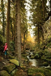 Woman standing by wyming brook in forest