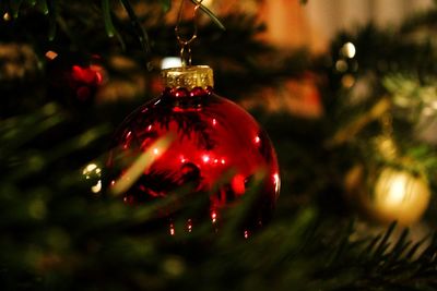 Close-up of illuminated christmas tree