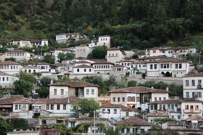 Buildings in town of berat in albania