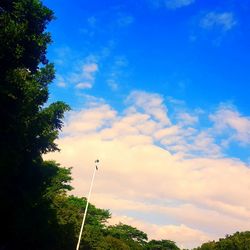 Low angle view of trees against cloudy sky