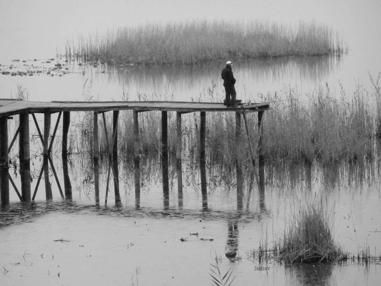 water, lifestyles, men, reflection, leisure activity, lake, full length, rear view, standing, pier, tranquility, nature, silhouette, walking, tranquil scene, person, day