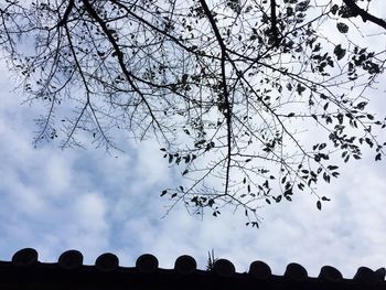 Birds against sky