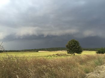 Scenic view of landscape against cloudy sky