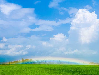 Scenic view of field against sky