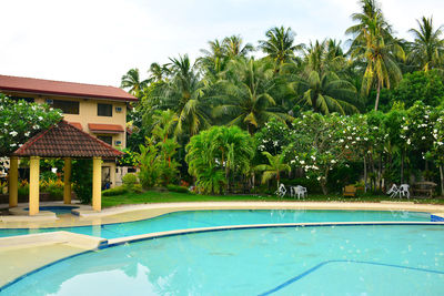 Palm trees by swimming pool by building against sky