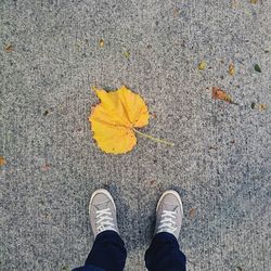 Low section of person standing in park