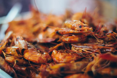 Close-up of seafood in plate