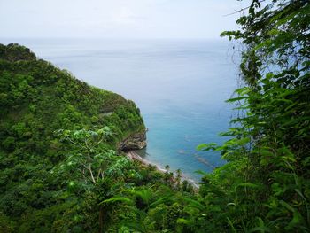 High angle view of sea and trees against sky