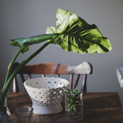 Plants in jar by white pot on table