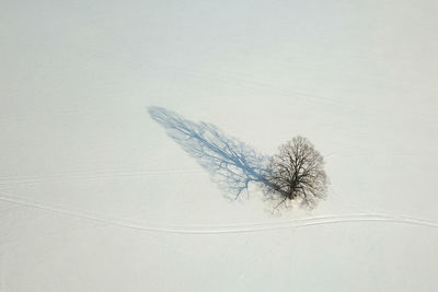 High angle view of snow covered trees on field