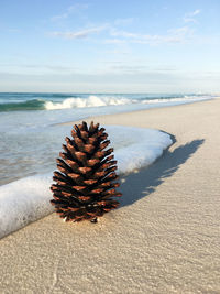 Sea shore at beach against sky