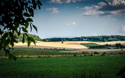 Scenic view of farm against sky