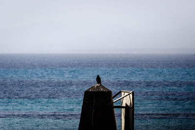 Bird perching on sea against clear sky