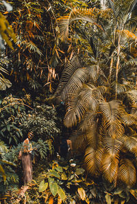 Woman standing amidst trees and plants on field