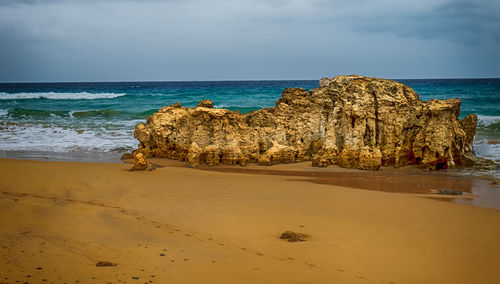 Scenic view of beach against sky