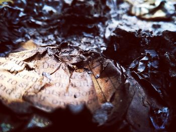 Full frame shot of ice cream on wood