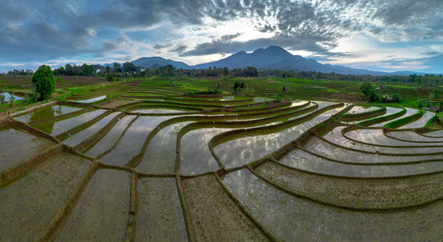 Scenic view of agricultural field against mountain