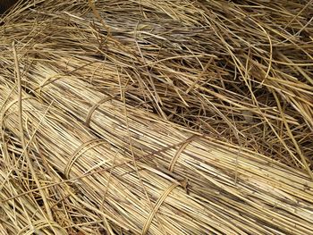 High angle view of hay bales on grass