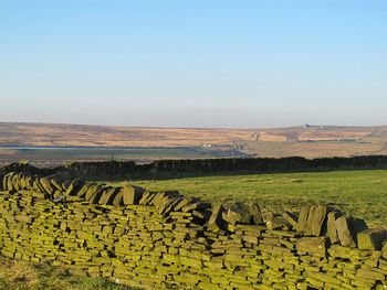 Scenic view of agricultural field against clear sky