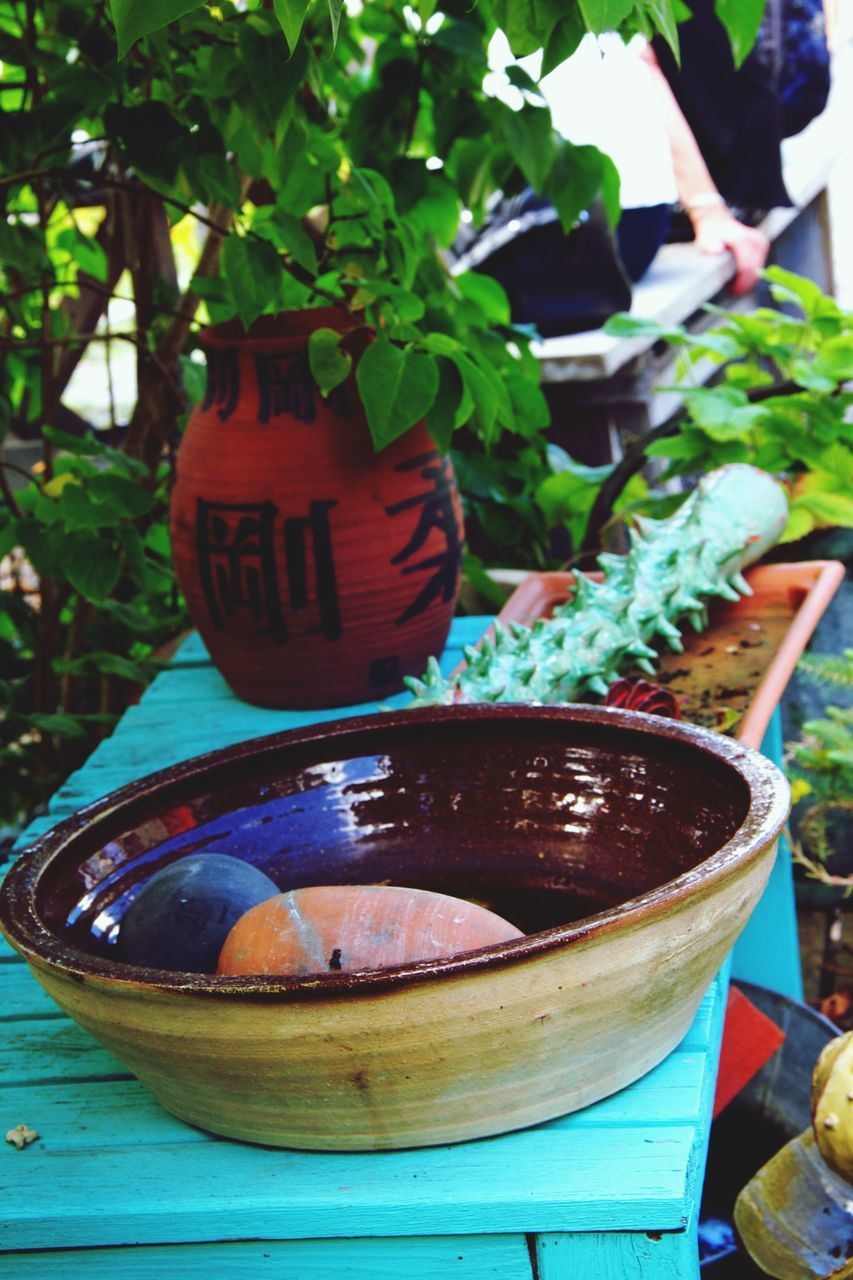 food and drink, tree, close-up, table, focus on foreground, sunlight, front or back yard, drink, day, outdoors, leaf, still life, plant, potted plant, no people, container, refreshment, growth, freshness, lantern