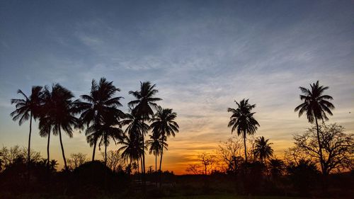 Silhouette palm trees against sky during sunset