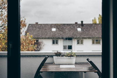 Close-up of potted plant on table by building