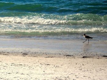 Group of people on beach