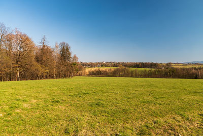 Scenic view of field against blue sky