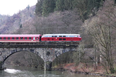 Train on bridge over trees