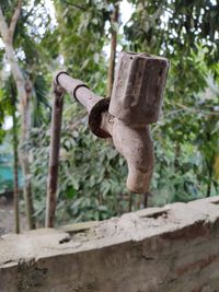 Low angle view of sculpture on wood against trees