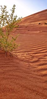 Scenic view of desert against sky