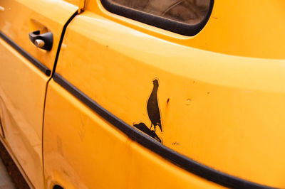 Close-up of a silhouette bird on a yellow car