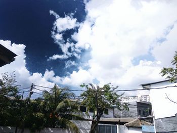 Low angle view of trees against sky