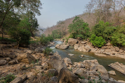 Stream flowing through rocks in forest against sky