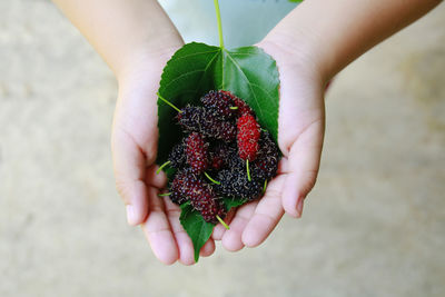 Close-up of hand holding strawberry