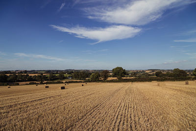 Scenic view of field against blue sky