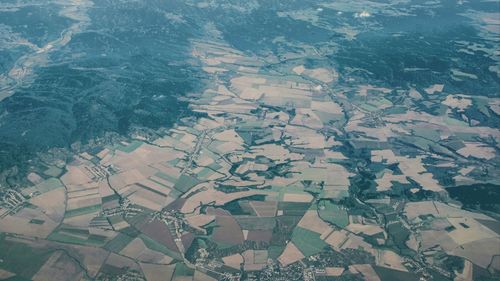 High angle view of plants growing in farm