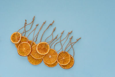 Flat layout of a dried orange fruit slices with strings on a blue background