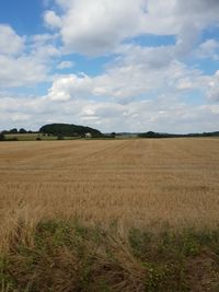 Scenic view of field against sky