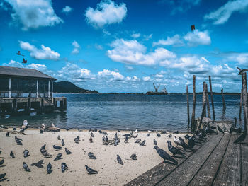 Pier over sea against sky