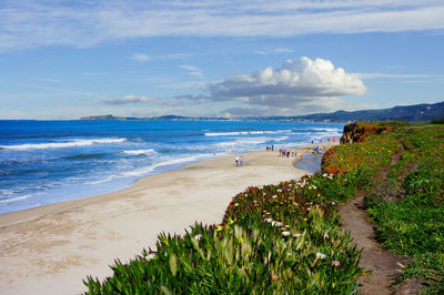 Scenic view of beach against sky