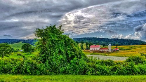 Trees on field against sky