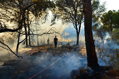 Firefighters amidst smoke at forest
