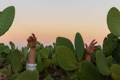 Cropped image of person with arms raised standing amidst plants