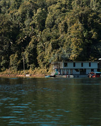 Scenic view of river by trees and plants